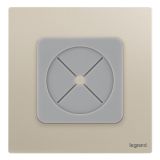 爱游戏开关插座 逸景Plus 粉铂金 空白面板带出线孔