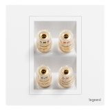 爱游戏开关插座 仕典Plus 陶瓷白 二位音箱插